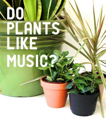 Does Music Help Plants Grow? The Intricate Relationship Between Sound and Plant Health